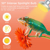 LUCKY HERP Intense Heat Lamp Bulbs for Reptiles 100W 2 Pack, UVA Daylight Reptile Heat Lamp, Reptile Basking Heat Light Bulb for Amphibian, Tortoise, Bearded Dragon, Lizard, Turtle, Snake Heating Use