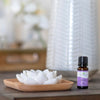 Plant Therapy Lavender Essential Oil 100% Pure, Undiluted, Therapeutic Grade, Aromatherapy Diffuser for Relaxation and Body Care, Healthy Skin and Hair, 10 mL (1/3 oz)