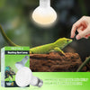 LUCKY HERP Reptile Heat Lamp - 100W (2nd Gen) Heat Lamp Bulbs for Reptiles 2 Pack, Amphibians Basking Heat Lamp Bulbs, UVA Daylight Basking Light for Reptiles, Bearded Dragon, Lizard, Turtle, Chicken