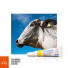 Zoetis Animal Health Terramycin Antibiotic Ophthalmic Ointment 1/8 oz