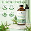 EVOKE OCCU 100% Pure Tea Tree Essential Oil for Toenail Fungus,Hair Damage,Skin Problems,Add to Shampoo,Body Wash,Conditioner 4 FL Oz