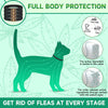 4 Pack Flea Collar for Cats, Cat Flea and Tick Treatment, 8 Months Protection Flea and Tick Prevention for Cats, Waterproof Cat Flea Collar, Adjustable Cat Flea and Tick Collar for Cats Kittens, Black