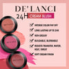 DE'LANCI Flushed Blusher, Glow Finish Korean Blush Natural Looking, Face Cream Blush with Brush Mirror, Long Last Lightweight Blushing for Cheek and Lip Tint,Waterproof Breathable,Tacl Free (RUST 04#)