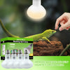 LUCKY HERP 4 Pack 100W Reptile Heat Lamp Bulb (2nd Gen), Amphibian Basking Light Bulb, Reptile Daylight Bulb for Turtle, Bearded Dragon, Lizard Heating Use