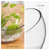 WGVI Clear Slant Cut Bowl Glass Vase, Glass Terrarium, Candy Dish, Glassware, Slant Open: 7