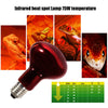 MCLANZOO Infrared Heat Lamp Bulbs 75W 2 Pack,Red Basking Spot Light Bulb Reptile Heating lamp for Bearded Dragon,Turtle,Snake,Leopard Gecko,Chicked with Digital Temperature Thermometer