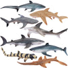 Toymany 8PCS Shark Toys Figurines, Realistic Sea Creatures Shark Toy for Kids 3-5 6-12, Ocean Sea Animal for Boy Girl Baby Shark Cake Topper Educational Figures (5 * 3IN)