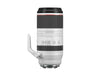 Canon RF 100-500mm F4.5-7.1 L is USM Super-Telephoto Lens