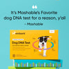 Embark Breed Identification Kit | Most Accurate Dog DNA Test | Test 350+ Dog Breeds | Breed ID Kit with Ancestry & Family Tree