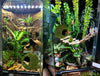 USMOLA Mossy Caves, Artificial Green Moss Caves Hide for Pet Reptile Frogs and Snakes, Terrarium & Vivarium Decor, Crested Gecko Tank Decor (4