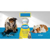 Carbona Oxy-Powered Pet Stain & Odor Remover w/ Active Foam Technology | 22 Fl Oz, 2 Pack