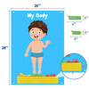 AKAYOK 35 Pcs Body Parts for Kids Felt Board Set Preschool Learning Interactive Educational Human Teaching Storytelling Early Learning Play Kit Interactive Wall Activity for Kids