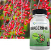 DOCTOR RECOMMENDED SUPPLEMENTS Berberine Plus 1200mg Per Serving - 120 Veggie Capsules with Royal Jelly