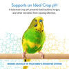 HealthyGut Avian Probiotics Dietary Supplement for Parrots, All-Natural Digestive System Formula (120 Servings)