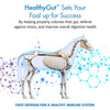 Equa Holistics HealthyGut Foal Kit for Horses Dietary Supplement, All-Natural Formula (14 g)