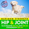 Hemp Hip and Joint Supplement for Dogs - Glucosamine for Dogs - 170 Dog Joint Pain Relief Treats - Chondroitin, Hemp Oil, MSM - Mobility & Flexibility Support - Advanced Joint Health - Made in USA