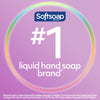 Softsoap Antibacterial Liquid Hand Soap Refill, White Tea & Berry Scented Hand Soap, 50 Ounce(Packaging May Vary)