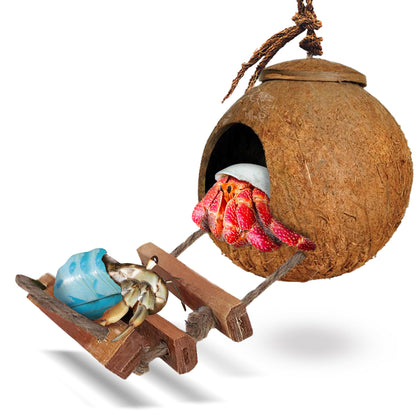 SunGrow Hermit Crab Coco Hut with Ladder, Cave Habitat with Hanging Loop, Large