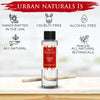 Urban Naturals Holiday Cheer Reed Diffuser Refill Oil | Cranberry, Cinnamon, Evergreen, Cedar & Smokey Wood | Made with Essential Oils | Includes a Free Set of Reed Sticks! 4 oz Made in The USA