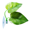 CousDUoBe Betta Fish Leaf Pad Improves Betta's Health by Simulating The Natural Habitat - Natural, Organic, Comfortable Rest Area for Fish Aquarium