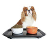 BugSnub Ant Proof Tray - Waterless