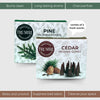 Incense Cones - Combo Pack of 20 Cone Incense - 10 Cedar + 10 Pine - Insence Cones - Incense Cones Scented - Cone Incense Scents - Insense Cones - Incent Cone