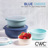 COOK WITH COLOR Prep Bowls - Wide Mixing Bowls Nesting Plastic Meal Prep Bowl Set with Lids - Small Bowls Food Containers in Multiple Sizes (Blue Ombre)