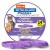 Hartz UltraGuard ProMax Flea & Tick Collar for Cats I 14 Months Protection I Soft & Comfortable | Flea & Tick Prevention I 2 Pack