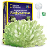 NATIONAL GEOGRAPHIC Jumbo Crystal Growing Kit - Grow Your Own Giant Glow in The Dark Crystal in a Few Days with This Crystal Making Kit, Science Kit, Grow Crystals for Kids (Amazon Exclusive)