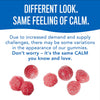 Natural Vitality Calm, Magnesium Citrate Supplement, Stress Relief Gummies, Supports a Healthy Response to Stress, Gluten Free, Vegan, Raspberry Lemon, 240 Gummies (Packaging May Vary)