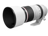 Canon RF 100-500mm F4.5-7.1 L is USM Super-Telephoto Lens