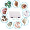 Hermit Crab Shells 17PCS (9 Types) Medium Small Growth Turbo Seashells 0.6-1.6 Inch Various Openning Size Natural