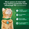 Advantage XD Small Cat Flea Prevention & Treatment For Cats 1.8-9lbs. | 1-Topical Dose, 2-Months of Protection Per Dose