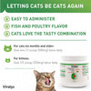 Vetoquinol Viralys L-Lysine Supplement for Cats - Cats & Kittens of All Ages - Immune Health - Sneezing, Runny Nose, Squinting, Watery Eyes - Flavored Lysine Powder