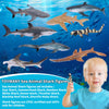 Toymany 8PCS Shark Toys Figurines, Realistic Sea Creatures Shark Toy for Kids 3-5 6-12, Ocean Sea Animal for Boy Girl Baby Shark Cake Topper Educational Figures (5 * 3IN)