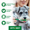 Vets Best Enzymatic Dog Toothpaste | Teeth Cleaning and Fresh Breath Dental Care Gel | Vet Formulated | 3.5 Ounces