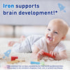 Enfamil Fer-In-Sol Iron Supplement Drops for Infants & Toddlers, Supports Brain Development, 50 mL Dropper Bottle