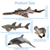 Toymany 14-Piece Realistic Sea Animal Figurines Set: 2-6