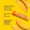 Burt's Bees Lip Balm Valentines Day Gifts, Pink Grapefruit, Mango, Coconut and Pear & Pomegranate, With Responsibly Sourced Beeswax, Tint-Free, Natural Conditioning Lip Treatment, 4 Tubes, 0.15 oz.