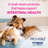 Nutramax Proviable Digestive Health Supplement Multi-Strain Probiotics and Prebiotics for Cats and Dogs - with 7 Strains of Bacteria, 80 Capsules