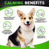 Hemp Calming Chews for Dogs with Anxiety and Stress - 170 Dog Calming Treats - Storms, Barking, Separation - Valerian Root - Melatonin - Hemp Oil - Dog Anxiety Relief - Made in USA | Soft Chews