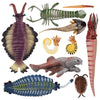 Toymany 10PCS Ancient Marine Creatures, Cambrian Sea Animal Figurines, Dunkleosteus, Cephalaspis, Opabinia, Prehistoric Educational Toys