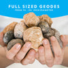 NATIONAL GEOGRAPHIC Break Open 15 Premium Geodes - With Goggles, Detailed Learning Guide, 3 Display Stands, Great STEM Science Toy & Educational Gift