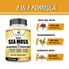 American Standard Supplements Organic Sea Moss 2625mg, Hand Harvested, Irish Moss Bladderwrack and Burdock Root, Irish Sea Moss Alternative To Sea Moss Powder, Sea Moss Gel, 120 Vegan Capsules