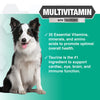 Nootie PROGILITY Daily Multivitamin Chews for Dogs - Supports Health with Taurine- For All Dog Sizes - 90 ct. - Sold in Over 4,000 Pet Stores