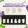 Essential Oils by PURE AROMA 100% Pure Oils kit- Top 6 Aromatherapy Oils Gift Set-6 Pack, 10ML(Eucalyptus, Lavender, Lemon Grass, Orange, Peppermint, Tea Tree)