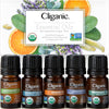 Cliganic Organic Essential Oils Set (Top 5) - 100% Pure Natural - Aromatherapy, Candle Making - Peppermint, Lavender, Eucalyptus, Lemongrass & Orange