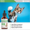 Cat Constipation Relief - Cat Laxative - Cat Laxative Constipation Relief - Constipation Relief for Cats -Constipation Relief for Cat - Cat Constipation - 1 fl oz