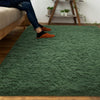 DweIke Super Soft Shaggy Rugs Fluffy Carpets, 4x6 ft Deep Green Area Rug for Living Room Bedroom Girls Kids Room Nursery Home Decor, Non-Slip Plush Indoor Floor Bedside Rug, 4x6 Rug Deep Green