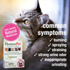 HomeoPet Feline UTI Plus Urinary-Tract Relief, Urinary-Tract Support for Cats, 15 Milliliters